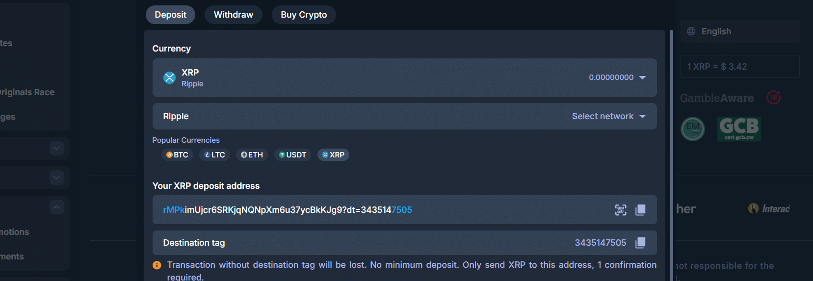 the deposit tab of the CasinoBet payment window